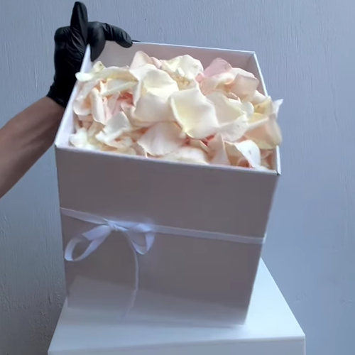 Fresh Box of white Rose Petals